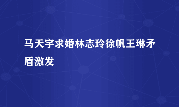 马天宇求婚林志玲徐帆王琳矛盾激发