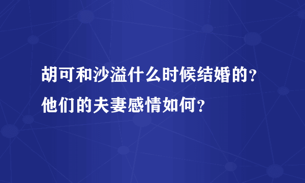 胡可和沙溢什么时候结婚的？他们的夫妻感情如何？