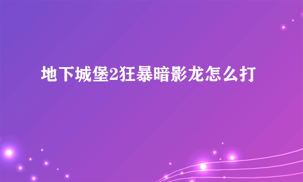 地下城堡2狂暴暗影龙怎么打