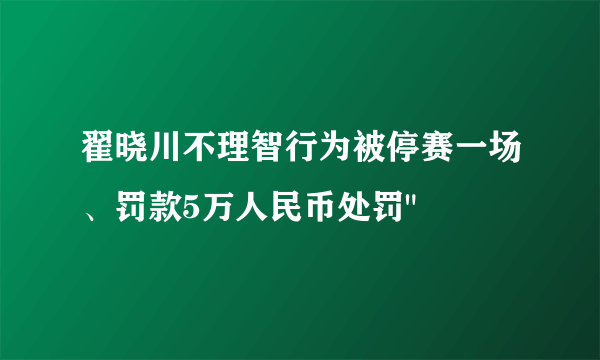 翟晓川不理智行为被停赛一场、罚款5万人民币处罚