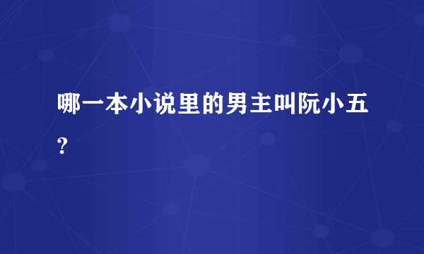 哪一本小说里的男主叫阮小五?