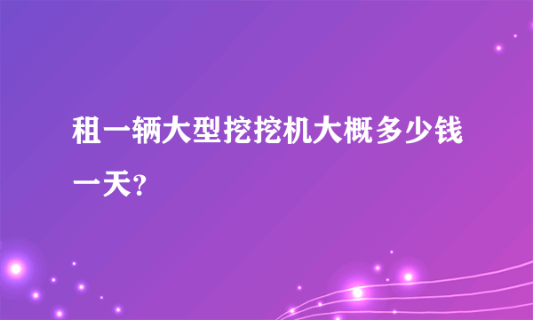 租一辆大型挖挖机大概多少钱一天？