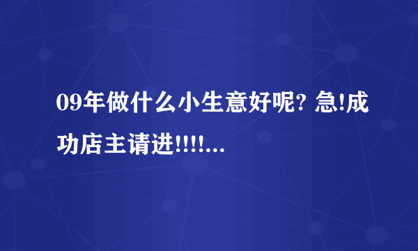 09年做什么小生意好呢? 急!成功店主请进!!!!!!!!