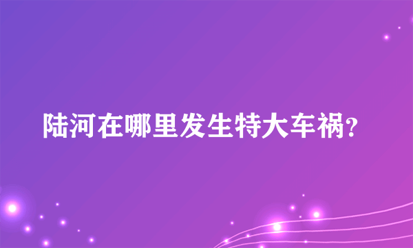 陆河在哪里发生特大车祸？