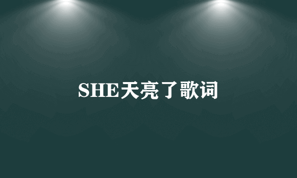 SHE天亮了歌词