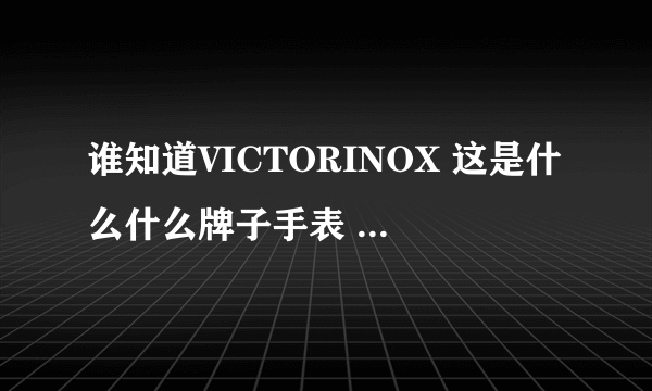 谁知道VICTORINOX 这是什么什么牌子手表 我不知道华语怎么讲？