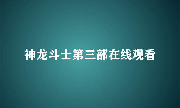 神龙斗士第三部在线观看