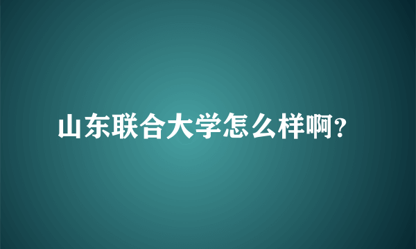 山东联合大学怎么样啊？