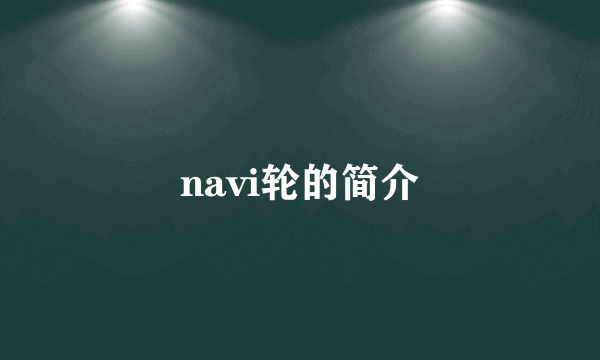 navi轮的简介