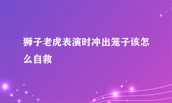 狮子老虎表演时冲出笼子该怎么自救