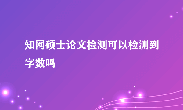 知网硕士论文检测可以检测到字数吗