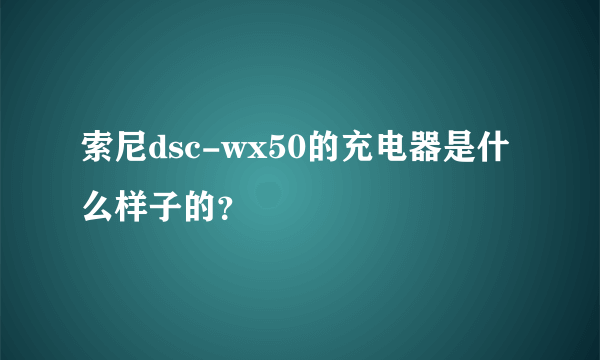 索尼dsc-wx50的充电器是什么样子的？