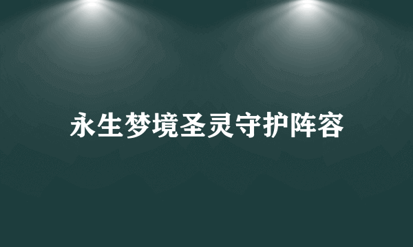 永生梦境圣灵守护阵容