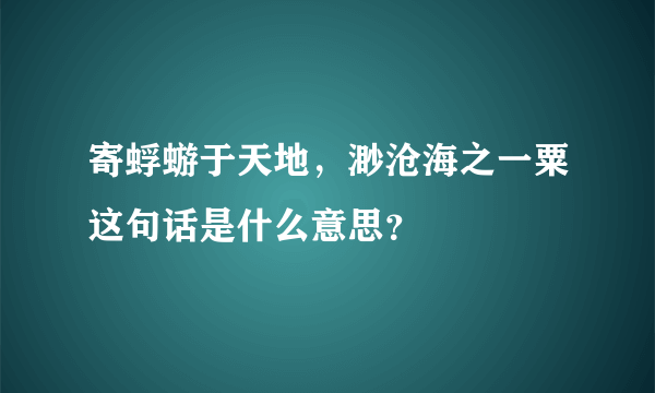 寄蜉蝣于天地，渺沧海之一粟这句话是什么意思？