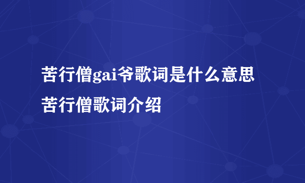 苦行僧gai爷歌词是什么意思 苦行僧歌词介绍