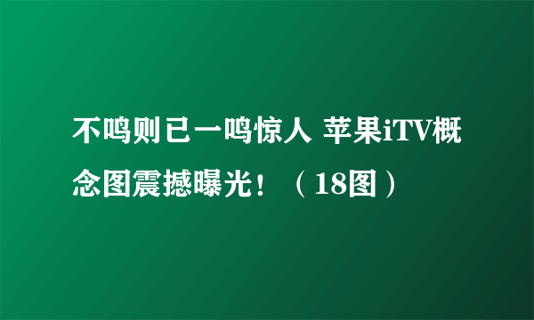 不鸣则已一鸣惊人 苹果iTV概念图震撼曝光！（18图）