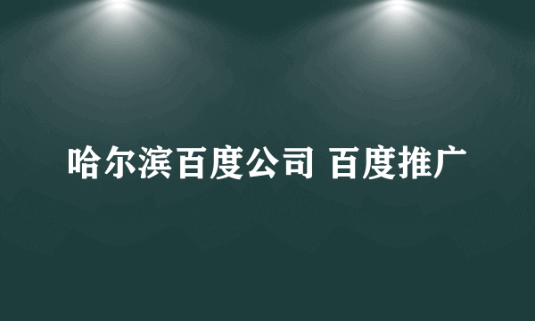 哈尔滨百度公司 百度推广