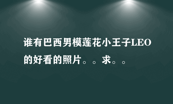 谁有巴西男模莲花小王子LEO的好看的照片。。求。。