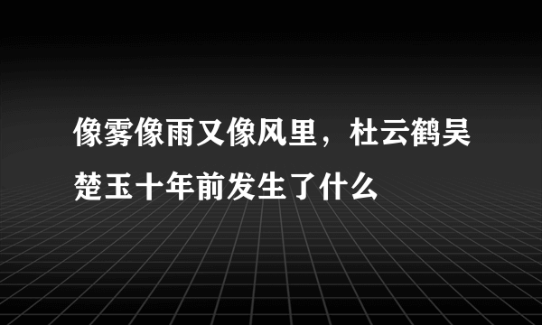 像雾像雨又像风里，杜云鹤吴楚玉十年前发生了什么