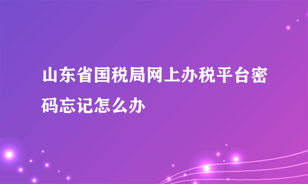 山东省国税局网上办税平台密码忘记怎么办