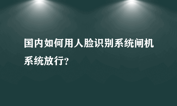 国内如何用人脸识别系统闸机系统放行？