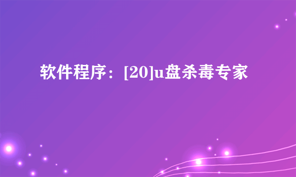 软件程序：[20]u盘杀毒专家