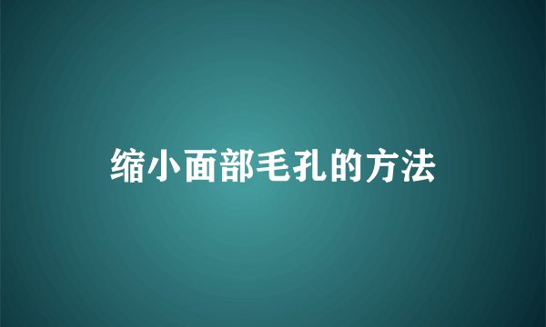 缩小面部毛孔的方法