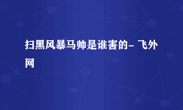 扫黑风暴马帅是谁害的- 飞外网