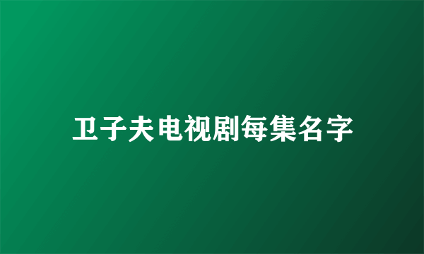 卫子夫电视剧每集名字