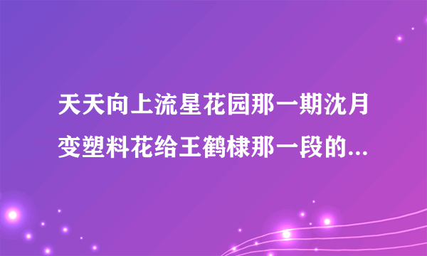 天天向上流星花园那一期沈月变塑料花给王鹤棣那一段的bgm是什么？