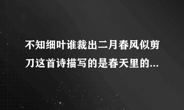 不知细叶谁裁出二月春风似剪刀这首诗描写的是春天里的什么样子用拟人的手法刻？