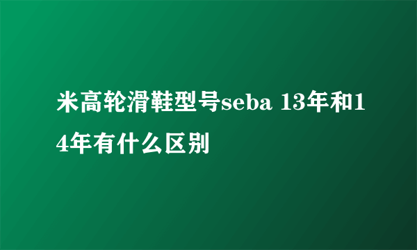 米高轮滑鞋型号seba 13年和14年有什么区别