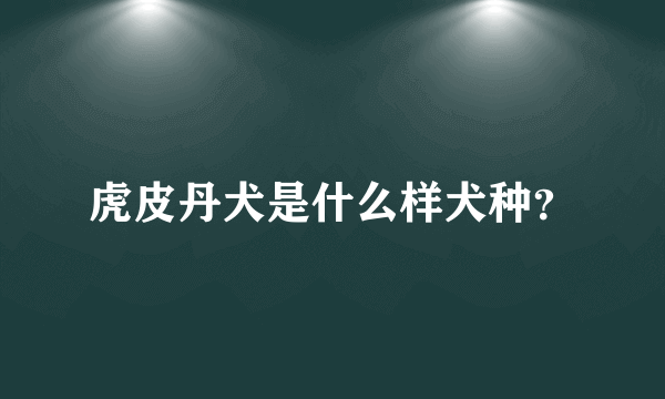 虎皮丹犬是什么样犬种？