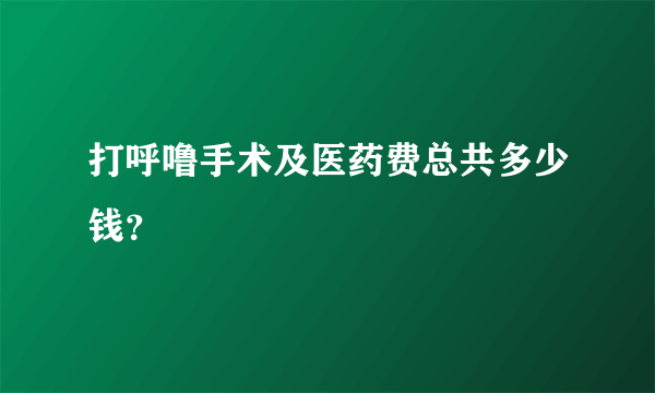 打呼噜手术及医药费总共多少钱？