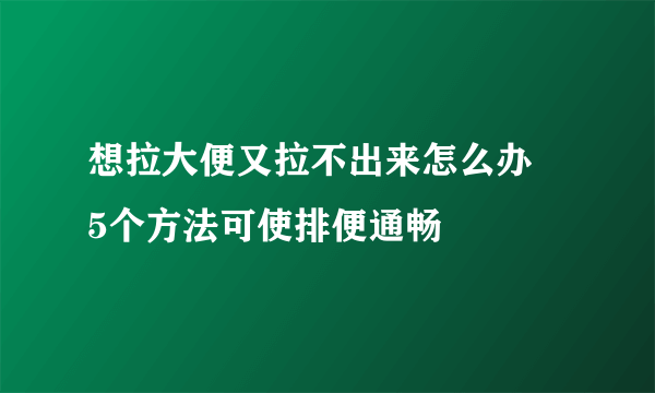 想拉大便又拉不出来怎么办   5个方法可使排便通畅