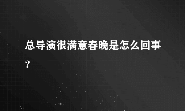 总导演很满意春晚是怎么回事？