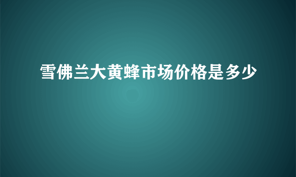 雪佛兰大黄蜂市场价格是多少