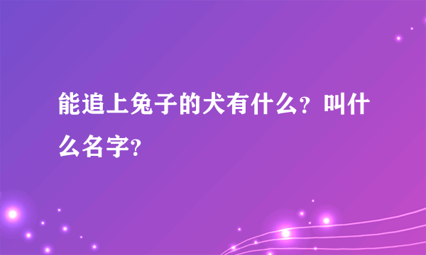 能追上兔子的犬有什么？叫什么名字？