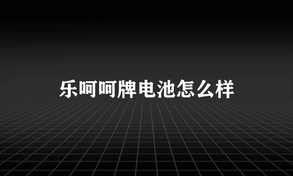 乐呵呵牌电池怎么样