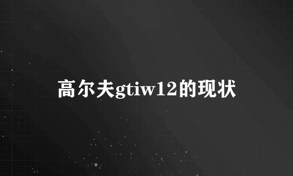 高尔夫gtiw12的现状