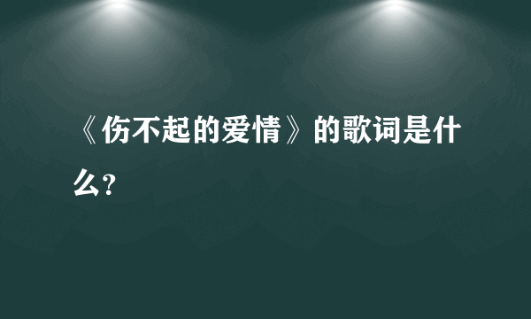 《伤不起的爱情》的歌词是什么？