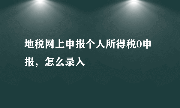 地税网上申报个人所得税0申报，怎么录入