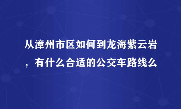 从漳州市区如何到龙海紫云岩，有什么合适的公交车路线么