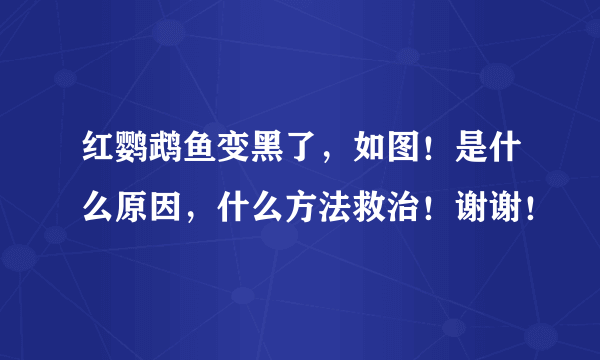 红鹦鹉鱼变黑了，如图！是什么原因，什么方法救治！谢谢！