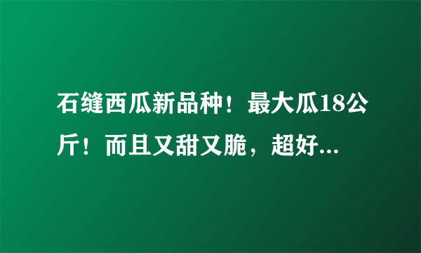 石缝西瓜新品种！最大瓜18公斤！而且又甜又脆，超好吃，农户容易种