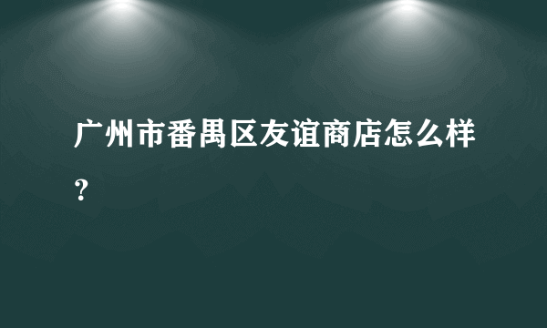 广州市番禺区友谊商店怎么样？