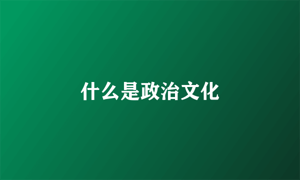 什么是政治文化