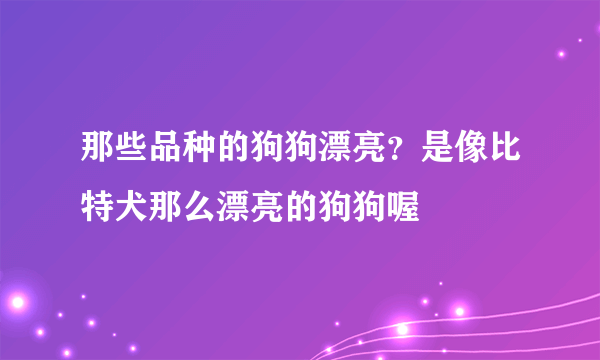 那些品种的狗狗漂亮？是像比特犬那么漂亮的狗狗喔