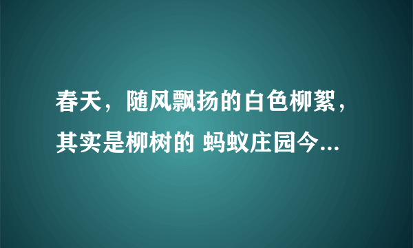 春天，随风飘扬的白色柳絮，其实是柳树的 蚂蚁庄园今日答案5月27日