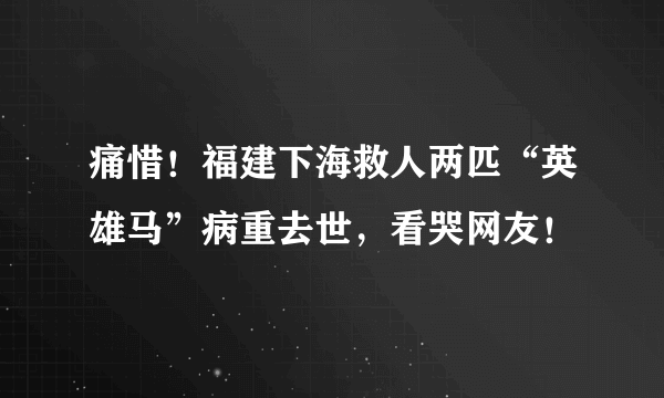 痛惜！福建下海救人两匹“英雄马”病重去世，看哭网友！